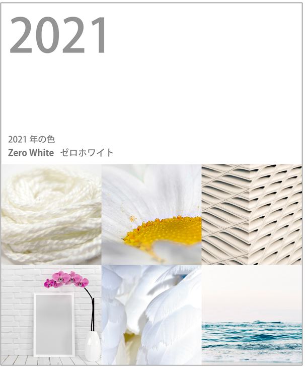 2021 zero white